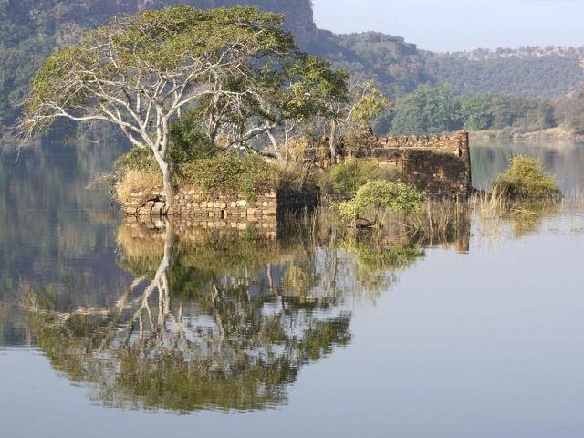 Altın Üçgen ve Ranthambore Kaplan Milli Parkı Turu