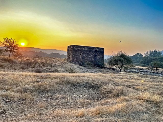 Altın Üçgen ve Ranthambore Kaplan Milli Parkı Turu